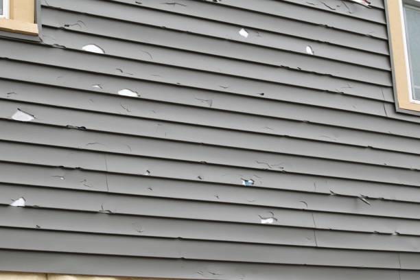 Best Same-Day Junk Removal Services  in Gatesville, TX